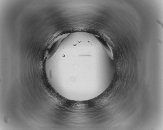 X0000096150260200802081418