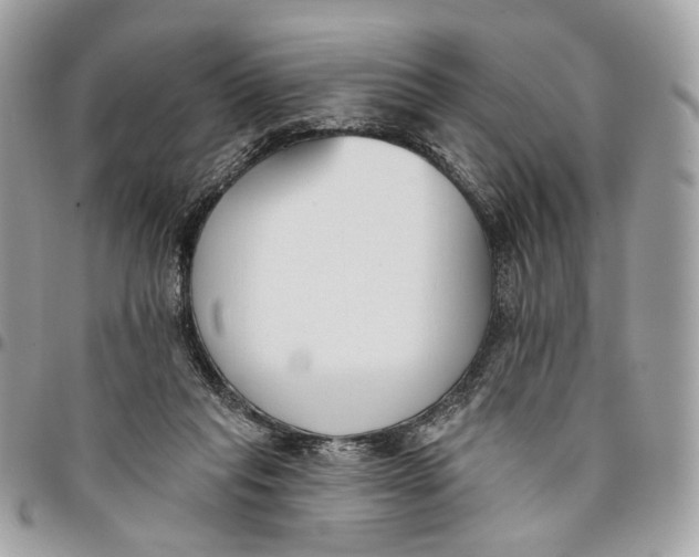 X0000096150261200802081418