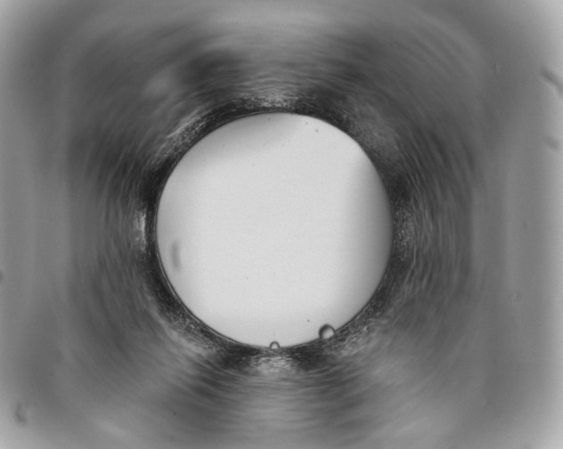 X0000096150262200802081418