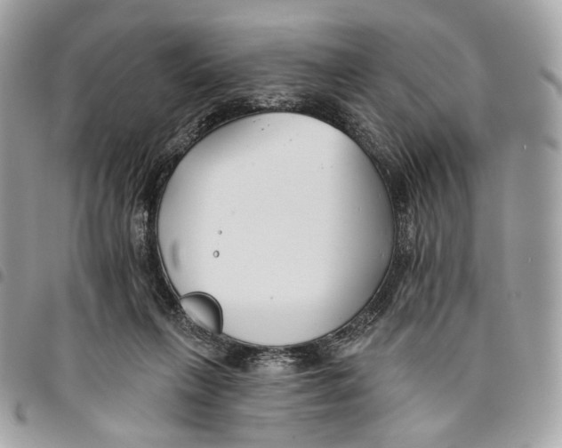 X0000096150263200802081418