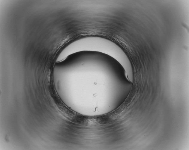 X0000096150264200802081418