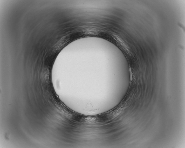 X0000096150265200802081418