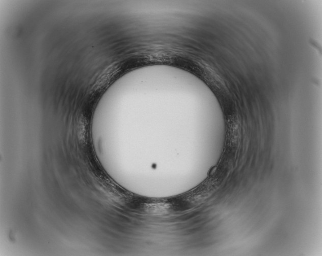 X0000096150266200802081418