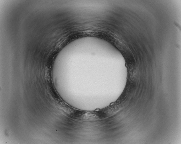 X0000096150270200802081418