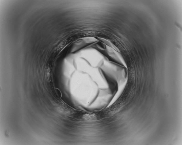 X0000096150271200802081418