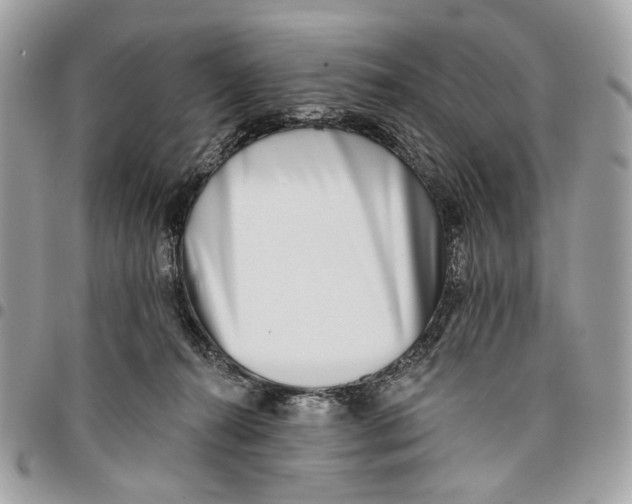 X0000096150272200802081418