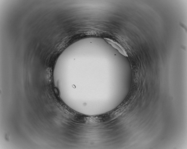 X0000096150273200802081418