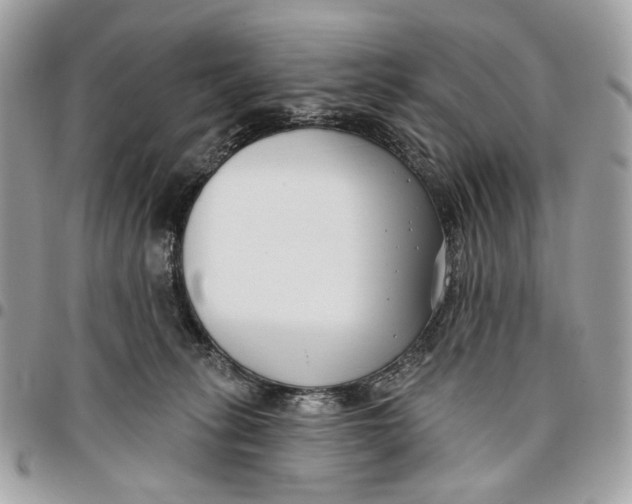 X0000096150275200802081418