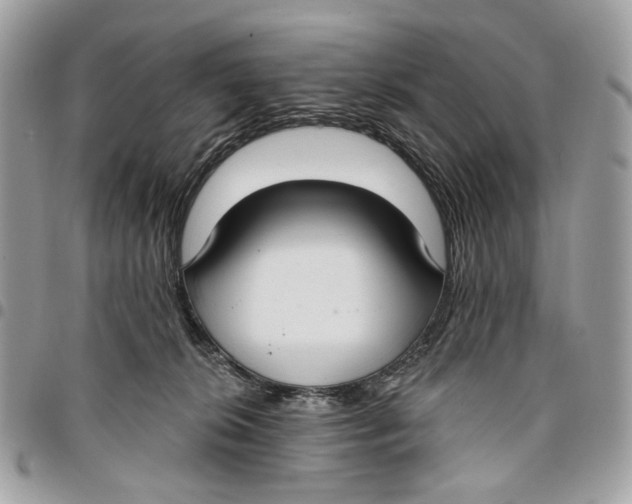 X0000096150276200802081418