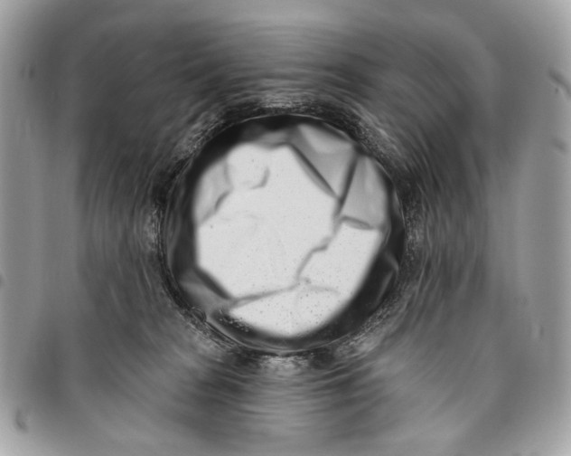 X0000096150277200802081418