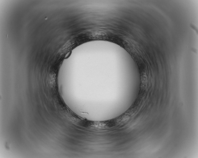 X0000096150278200802081418