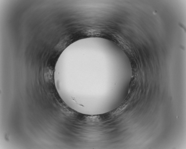 X0000096150281200802081419