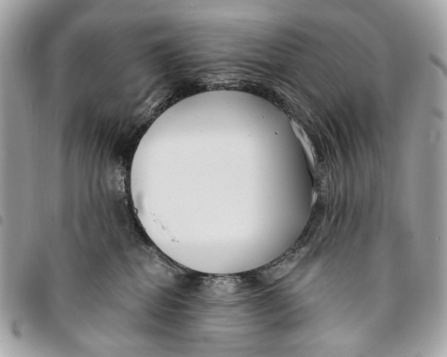 X0000096150282200802081419