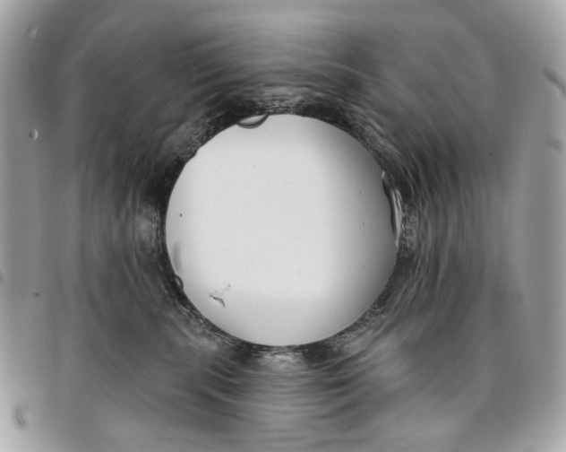 X0000096150283200802081419