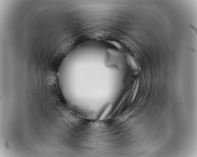 X0000096150284200802081419