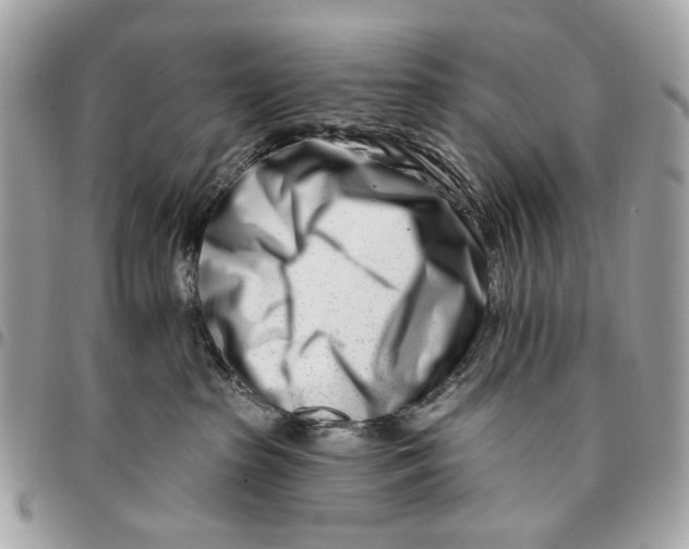 X0000096150285200802081419