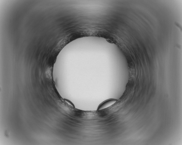 X0000096150286200802081419