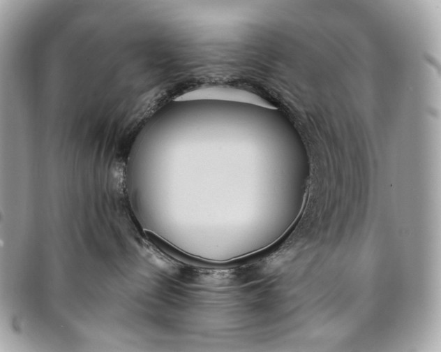 X0000096150288200802081419