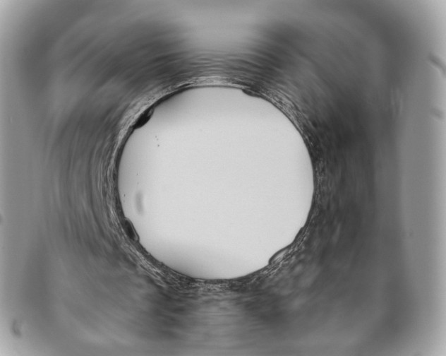 X0000096150289200802081418