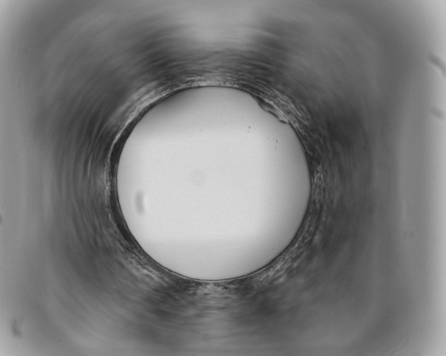 X0000096150290200802081418