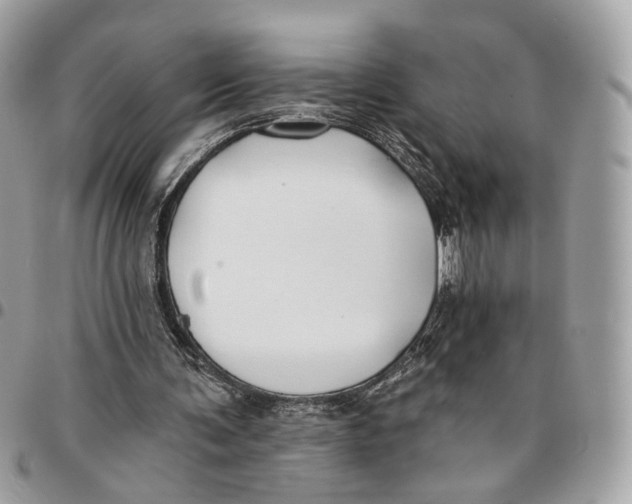 X0000096150291200802081418