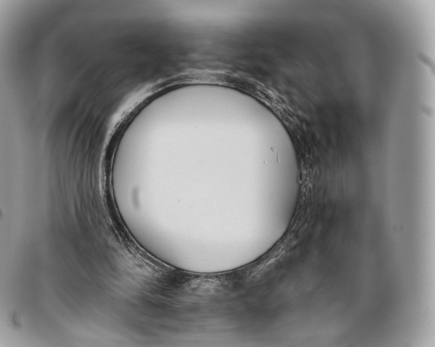 X0000096150294200802081418