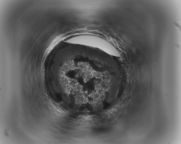 X0000096150295200802081418