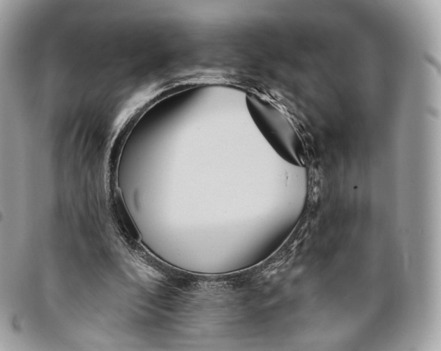 X0000096150296200802081418