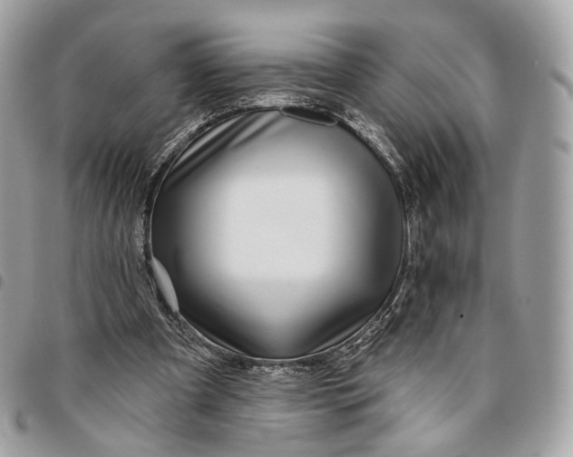 X0000096150297200802081418