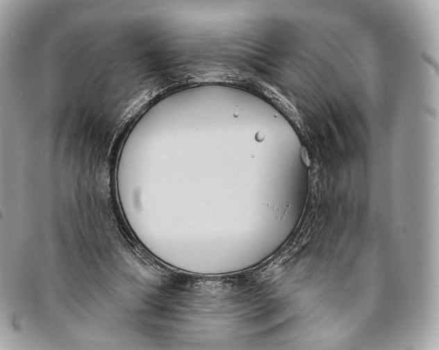 X0000096150298200802081418