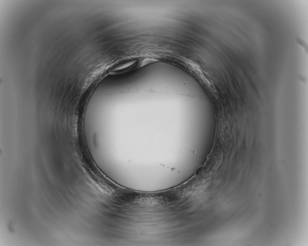 X0000096150299200802081418