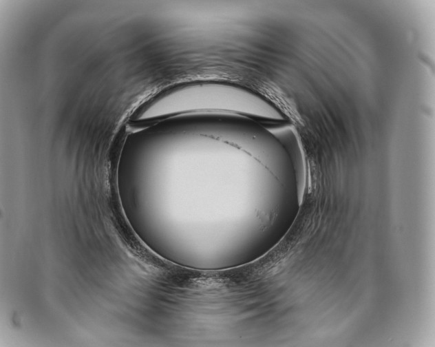 X0000096150300200802081418