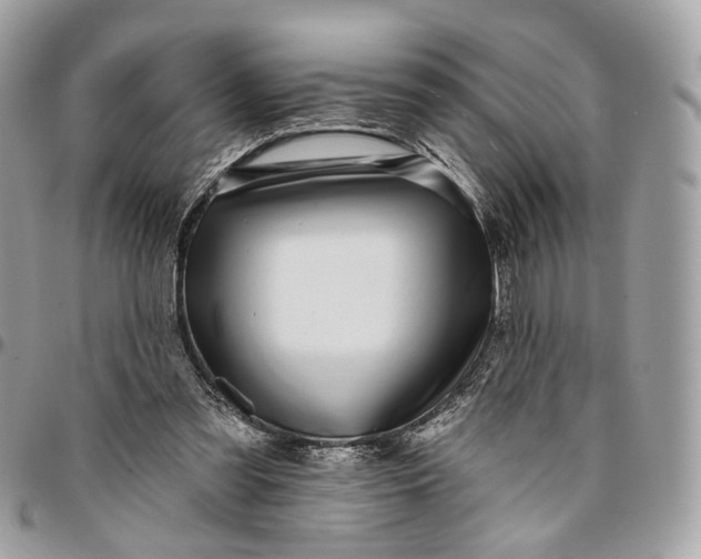 X0000096150301200802081418