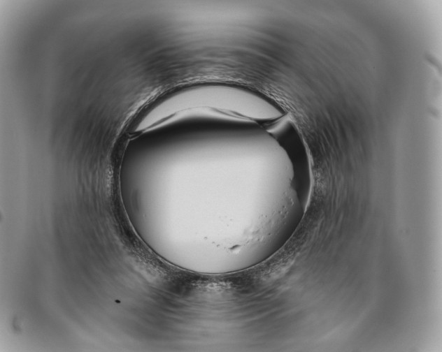 X0000096150304200802081418