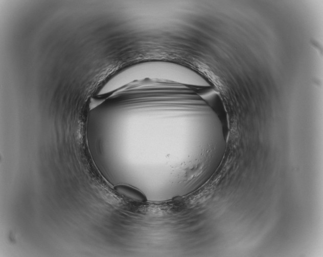 X0000096150305200802081418