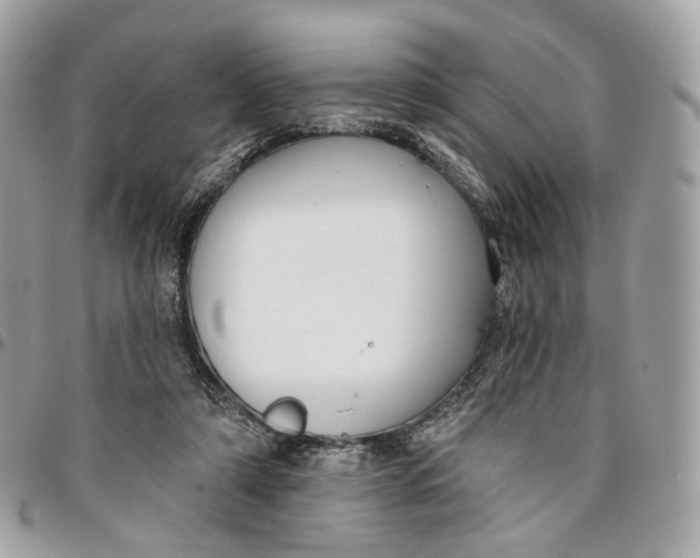 X0000096150306200802081418