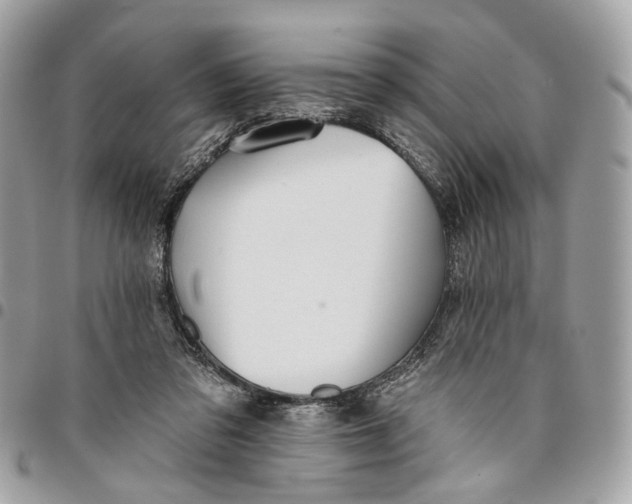 X0000096150309200802081418