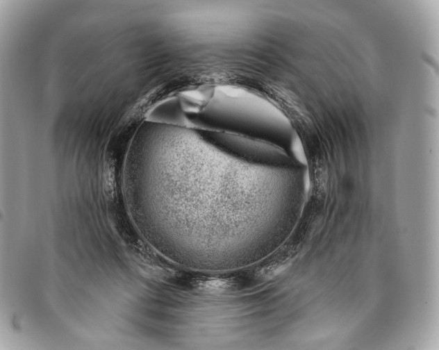 X0000096150312200802081418