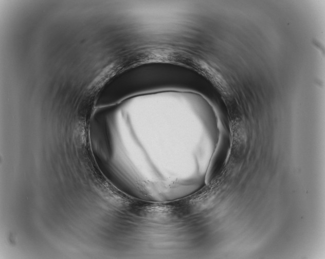 X0000096150313200802081418