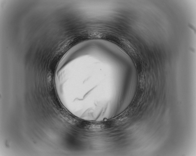 X0000096150314200802081418