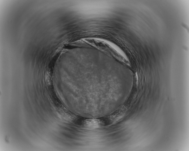 X0000096150316200802081418