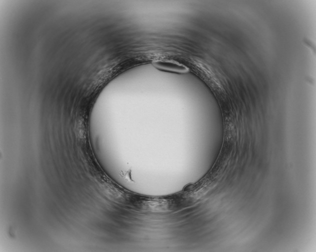 X0000096150317200802081418