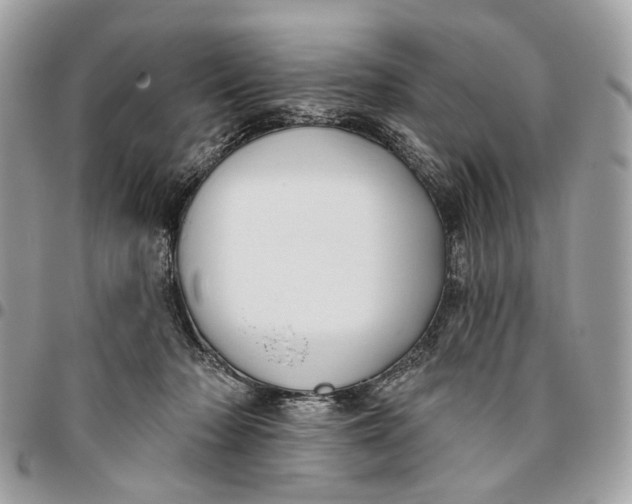 X0000096150318200802081418