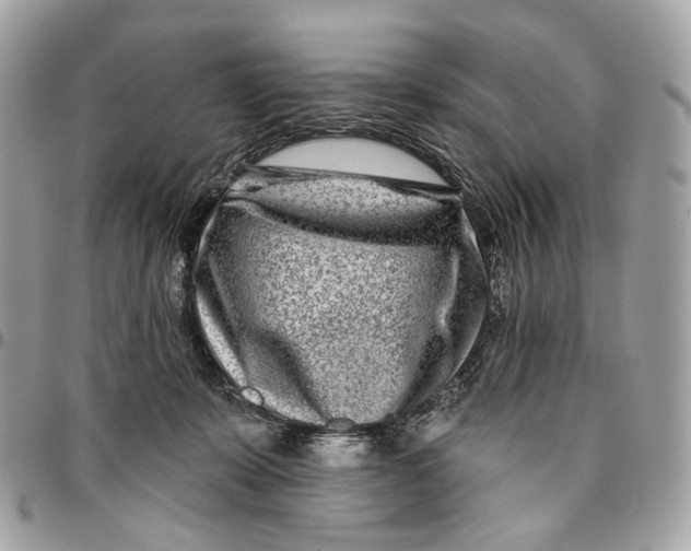 X0000096150319200802081418