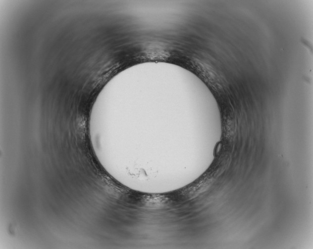 X0000096150321200802081418