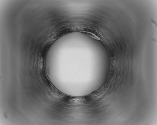 X0000096150323200802081417