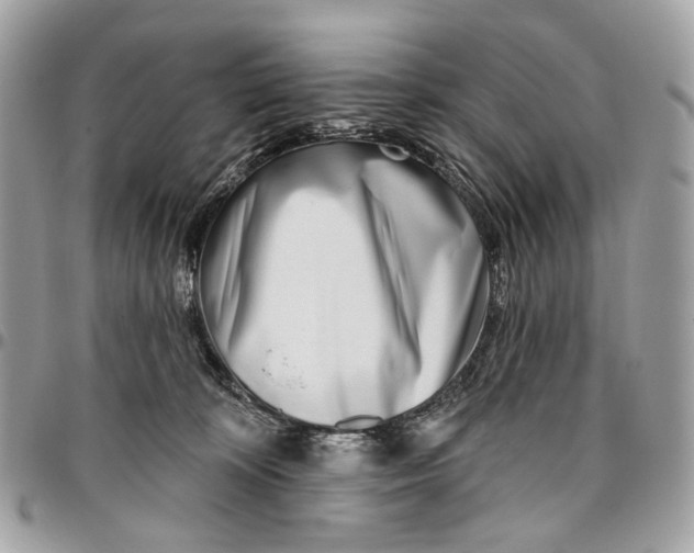 X0000096150324200802081417