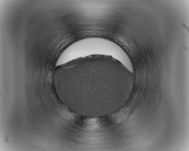 X0000096150325200802081417