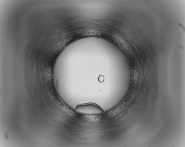 X0000096150326200802081417