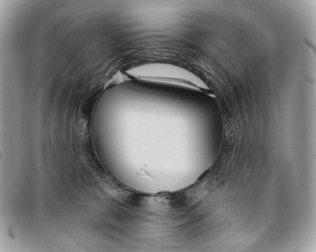 X0000096150327200802081417